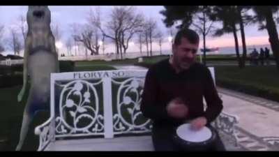 Turkish people when hearing this song 💪🐺🇹🇷