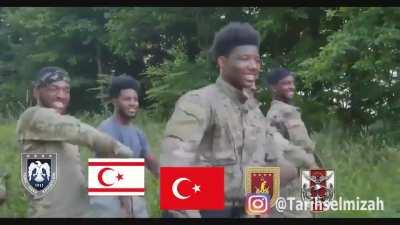 Roaches do a little trolling