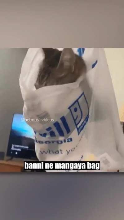 Banni ne bhi btech karli 👍