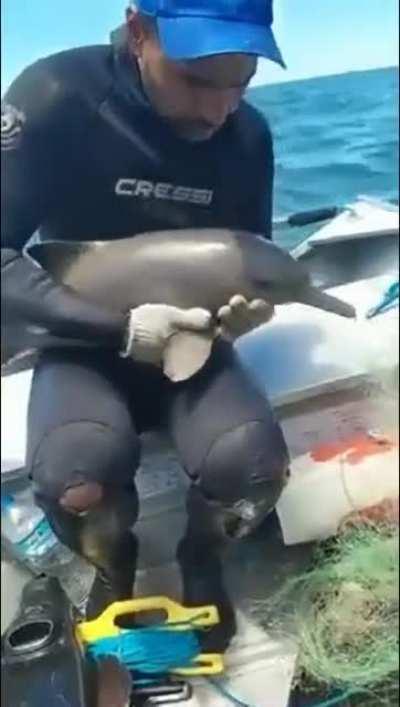 The Man help the baby dolphin. He's so kind.