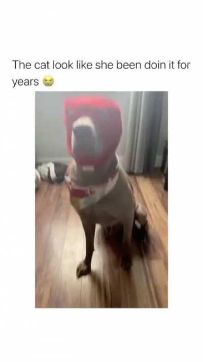 HMC ...they be hustling in the cribs...