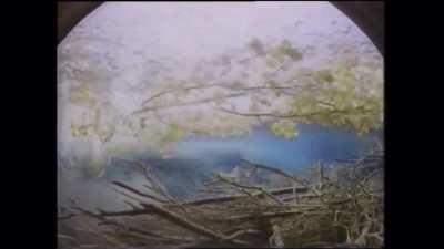 The Science Place - Fair Park - 1991