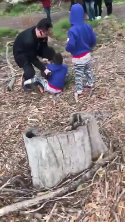 Koala attacks child