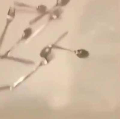 Cool and awesome title