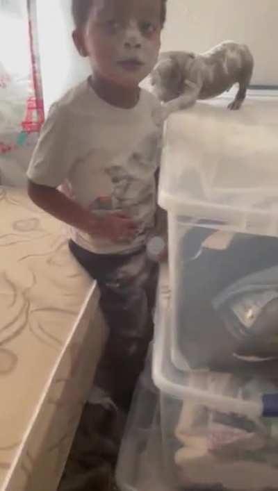 Watch the whole video