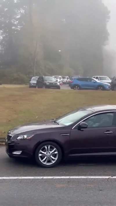 Some people are really sheep.