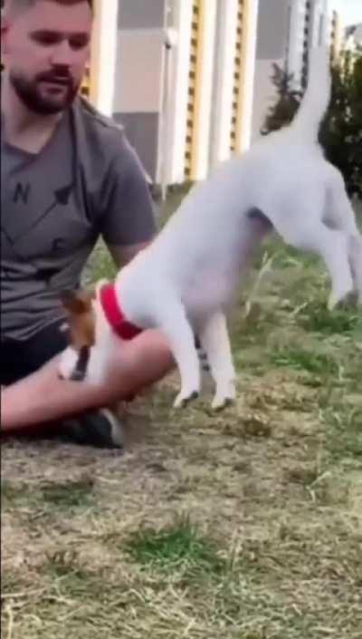 uniao_dos_mansos - Video #5381