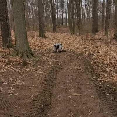 Walks are boring. Holes are better.