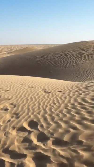 In the Empty Quarter desert / Rub Al Khali