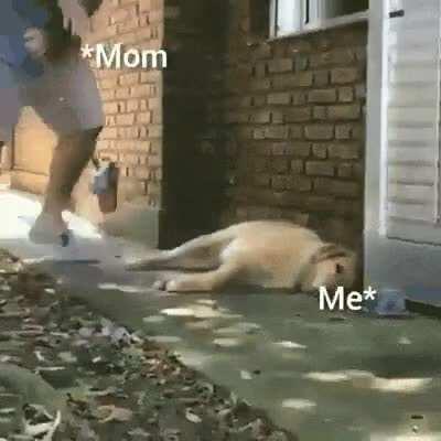 Weekend mornings be like..