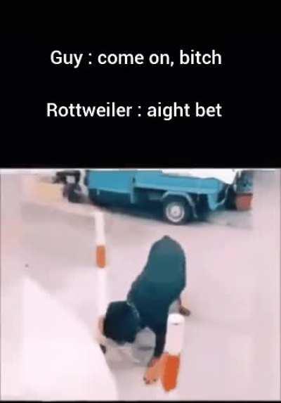 Rottweiler - The dog who defies the food chain