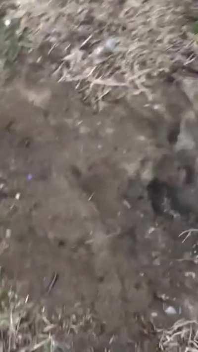 2 VS 1 IN THE HOOOD WHO WIN?