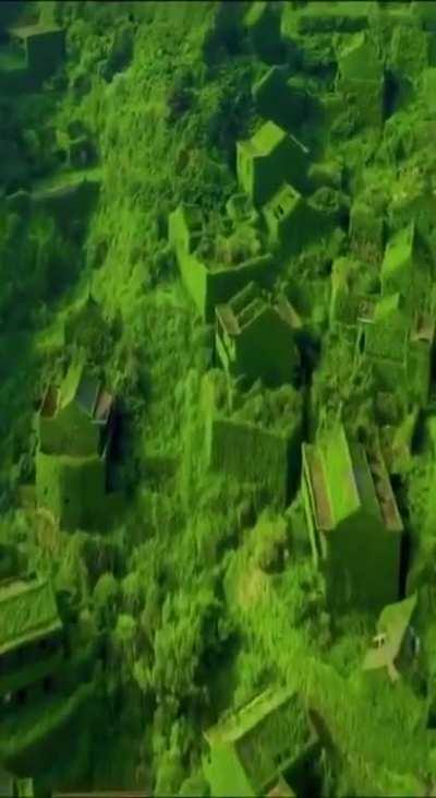 Маленькая деревня, расположенная на одном из островов Шенгси в Китае и покинутая людьми около 20 лет назад