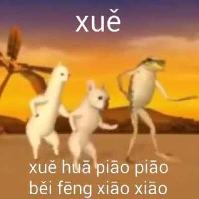 Chinese animals be like