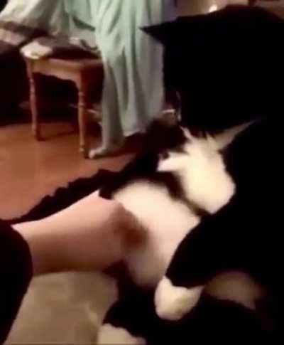 Don’t flick the flab