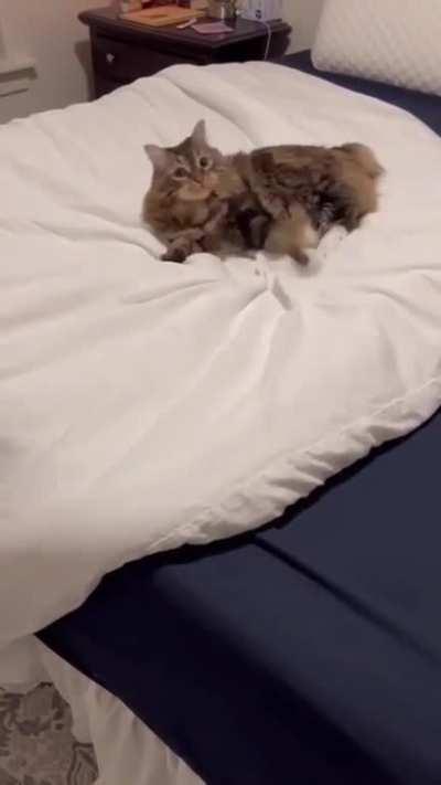 Nooo Mom.... I don't wanna get off the bed. It's miiiiiiine!!!