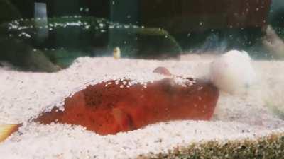 Happy Tuesday everyone!!