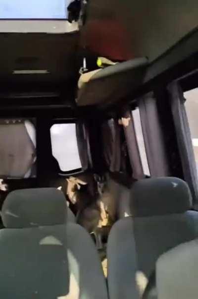 Kangaroos being evacuated from Kharkiv
