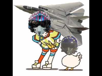 F14 Stops Crashing DCS