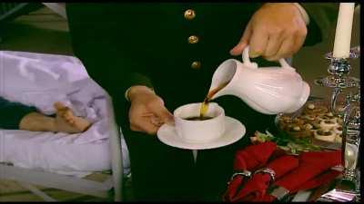 Polish Army according to Vatniks