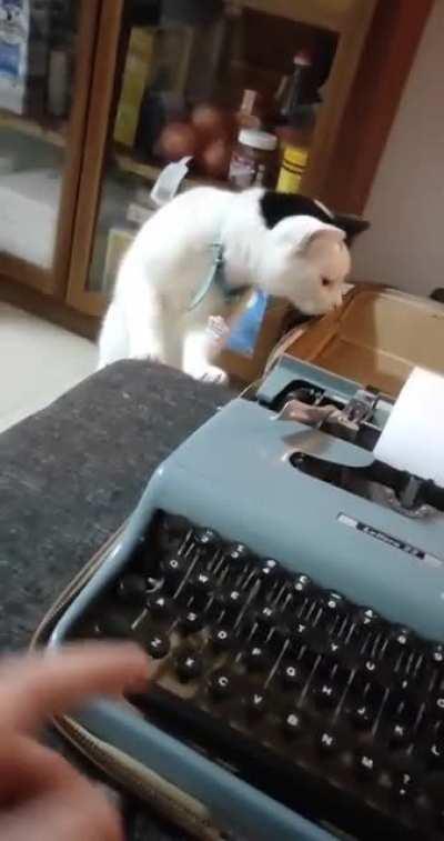 I bought a typewriter today and Ben hates it