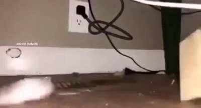 Repost till jake sees this