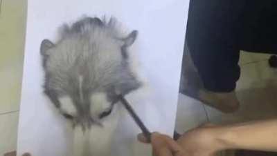 Invejosos vão dizer que é montagem