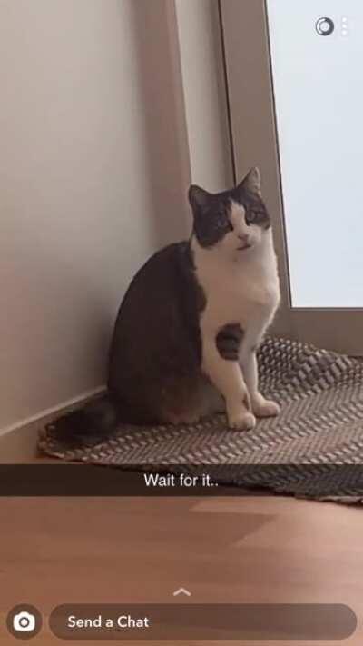 It jumped onto his back.