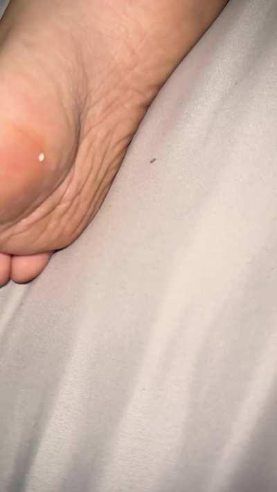 latina gf soles dm