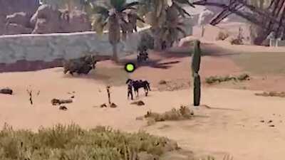 Horse Has God Mode 🐴