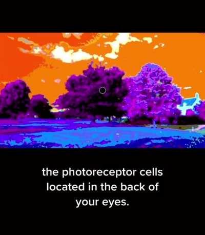 easily the craziest ive ever seen