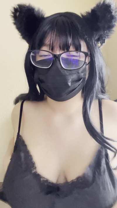 You can take advantage of this kitty