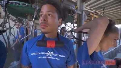 Animal rights activist military operation