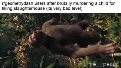 OMG RED LEVEL VERIY BED 🤮🤮🤮