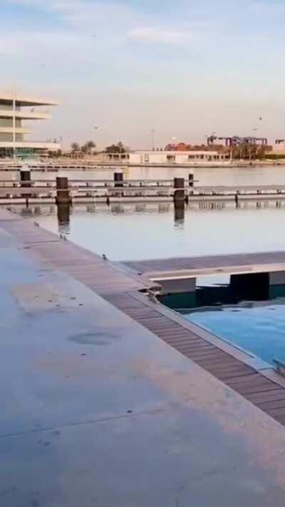 For my thirsty boys 💦🍑