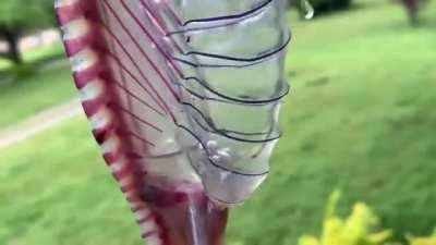 What the hell is even that!