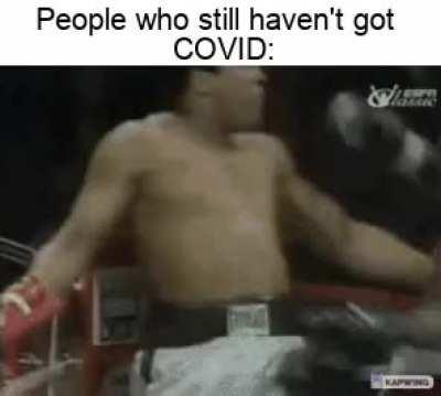 Introverts immune system