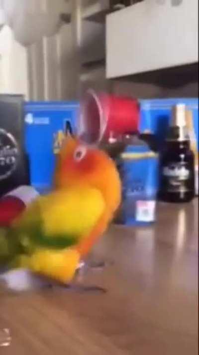 Mario Duplantier If He Was a Bird