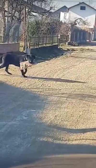 Ivanić-Grad slučaj. 