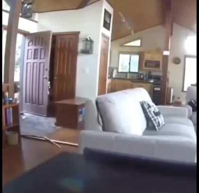 Sorry about the door, but do you have something to eat?