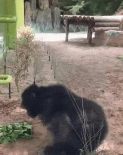 When you finally solve that week old bug and your ape brain gets that dopamine rush