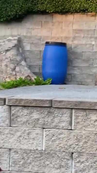 Thats not supposed to be there