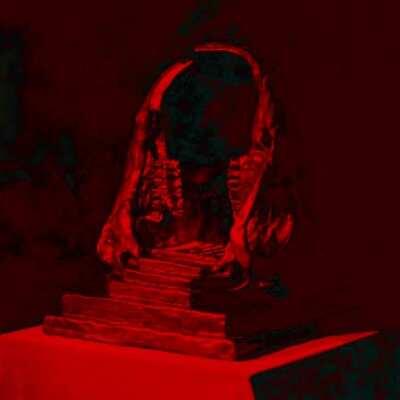 Out of your friends, which are you?