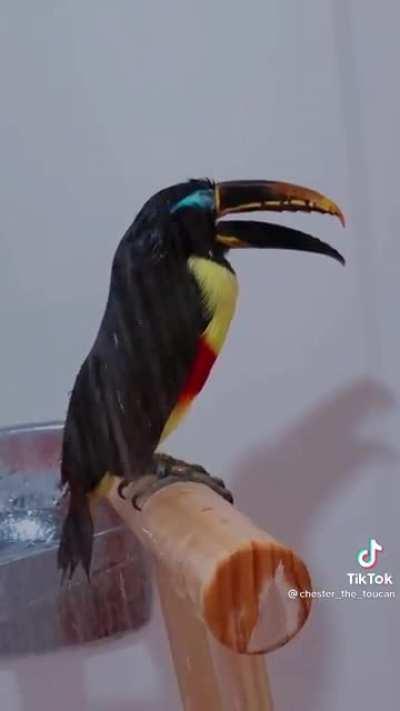 The shower is his happy place