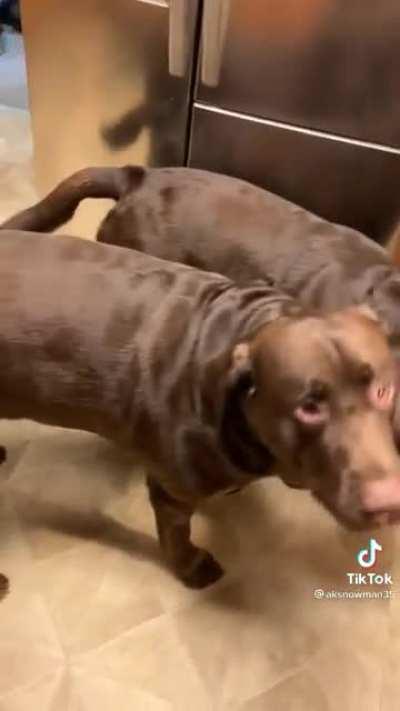 Hotdog water, good soup.