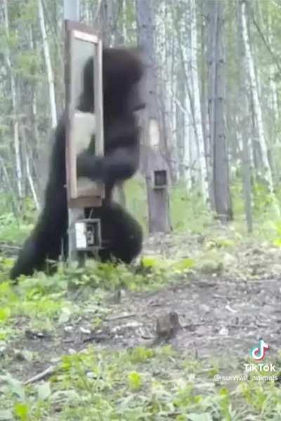 Well that escalated quickly.