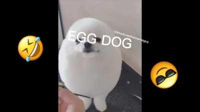 furry only fan leak 2020 Hindi subtitle free download