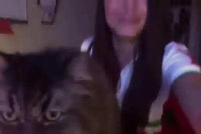 its not over til the fat cat sings (wait for it)