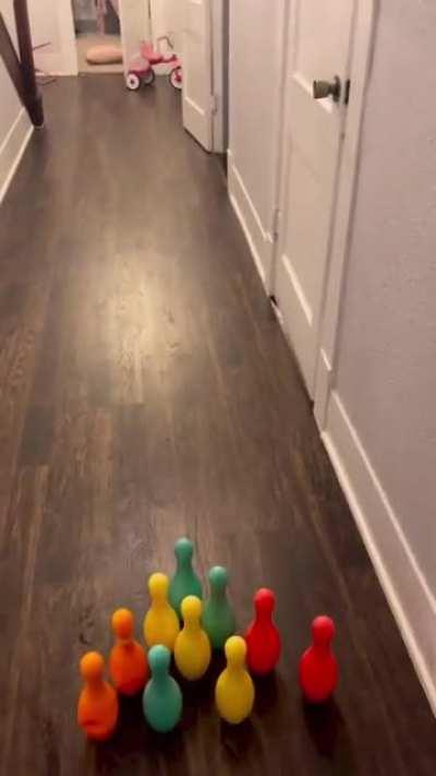 Bowling prodigy (Posted by @austingeter on Instagram)