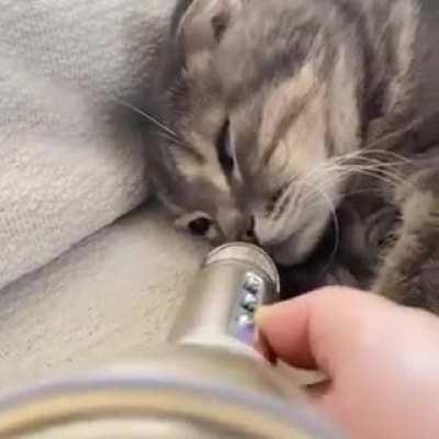 a submeowrine sending out signals